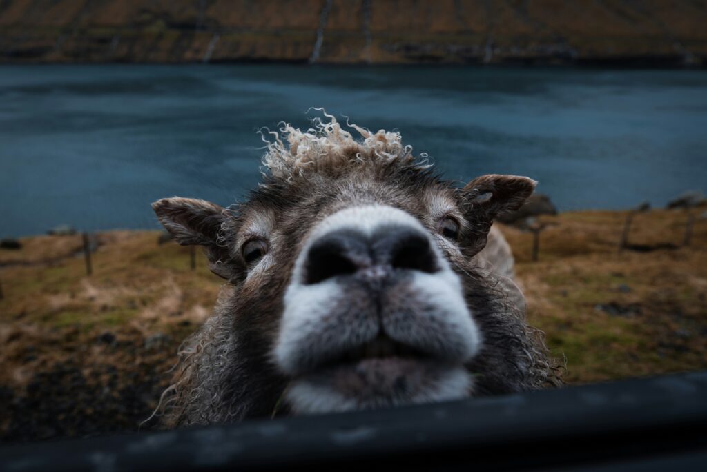 liam mcgarry jpyln7pimgy unsplash