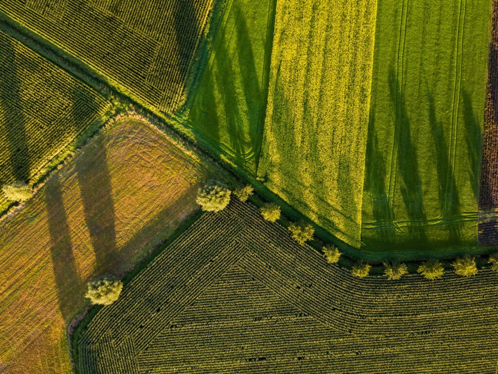 yulian alexeyev xdleutwczdc unsplash